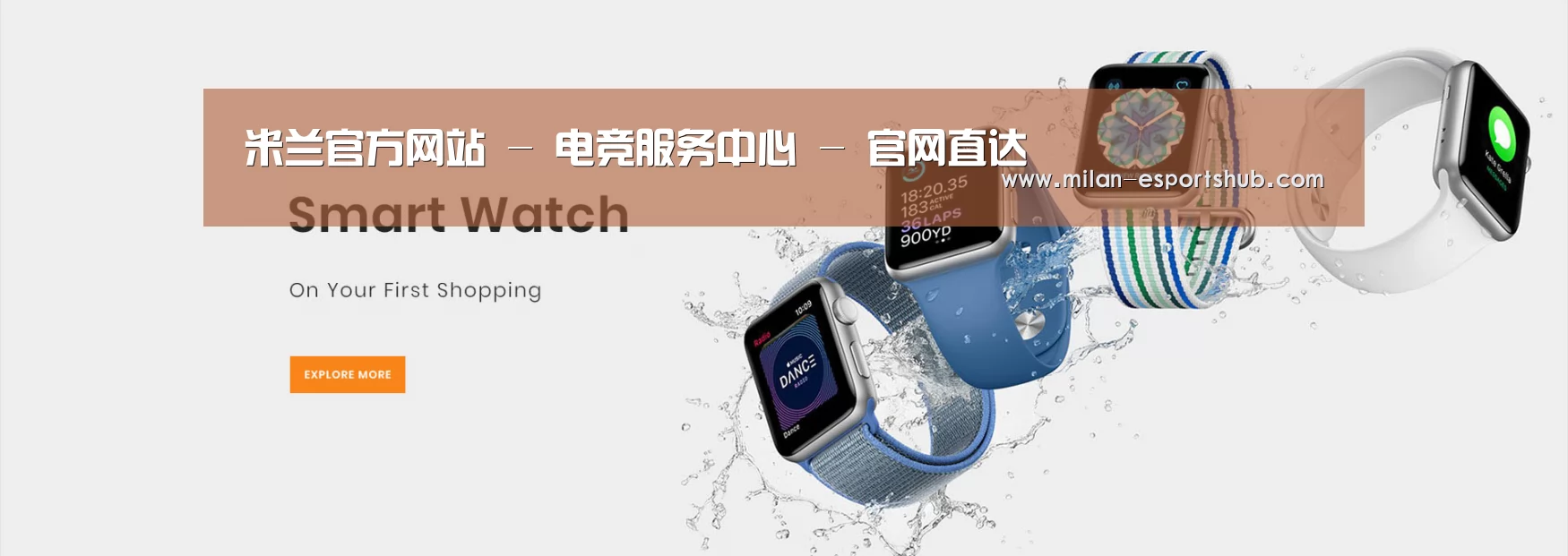 某某网络科技有限公司