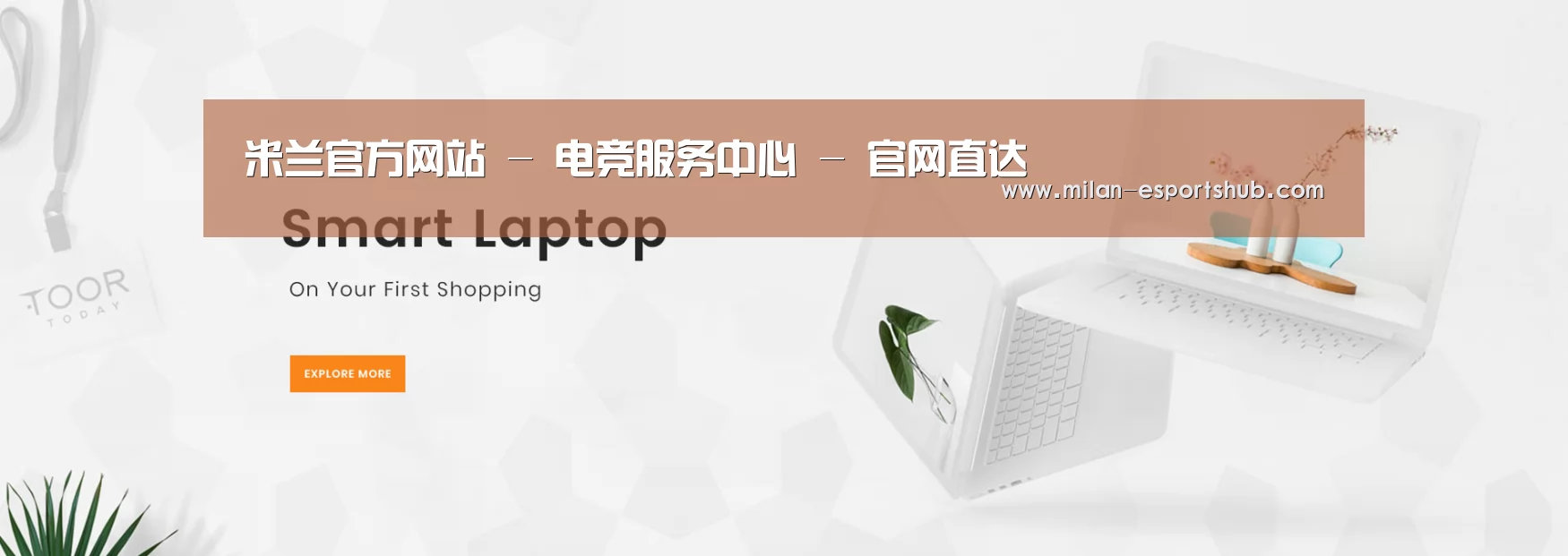 某某网络科技有限公司